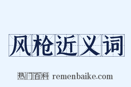 风枪近义词是什么意思的图片